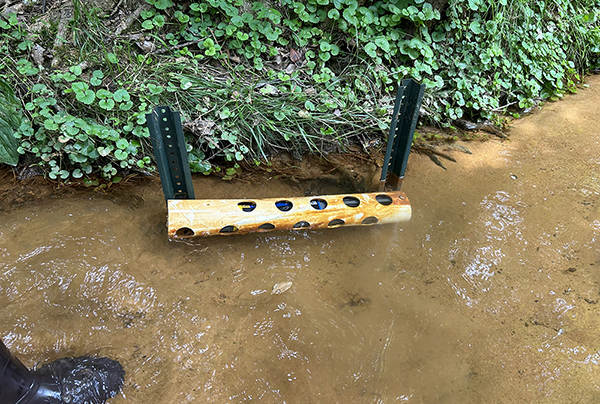 Water quality sonde in Jabez stream system