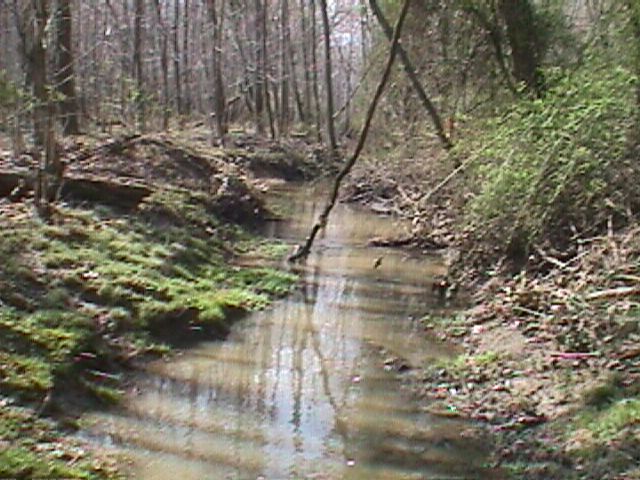 Field photo showing stream conditions at site ABPG-103-R-2000-10_06