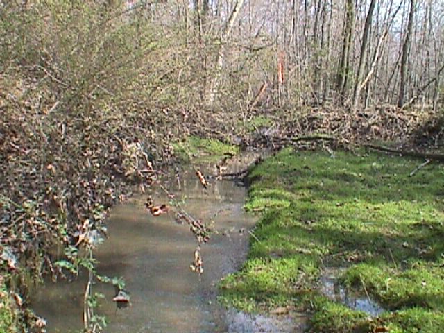 Field photo showing stream conditions at site ABPG-103-R-2000-10_07