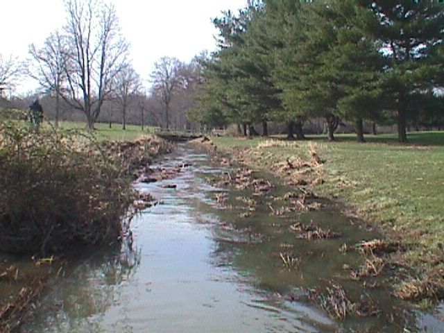 Field photo showing stream conditions at site ABPG-113-R-2000-10_04