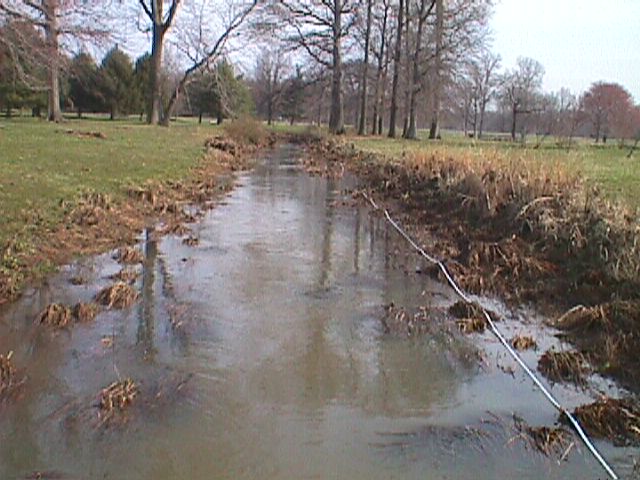 Field photo showing stream conditions at site ABPG-113-R-2000-10_05