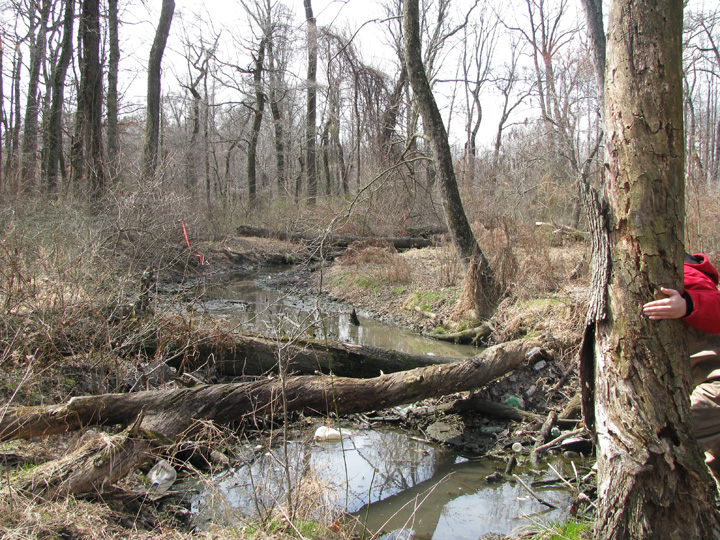 Field photo showing stream conditions at site ABPG-115-R-2009-1