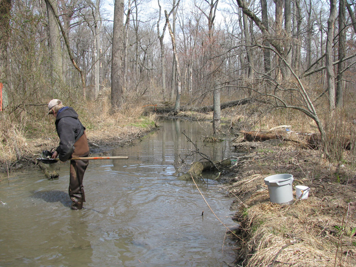 Field photo showing stream conditions at site ABPG-115-R-2009-2
