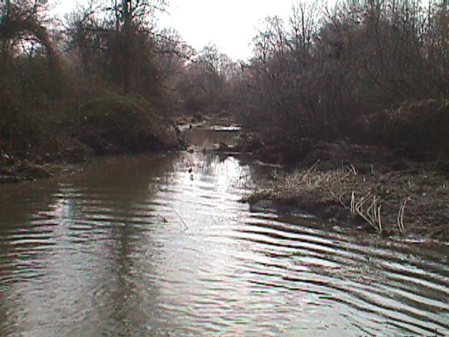 Field photo showing stream conditions at site ABPG-118-R-2000-10_11