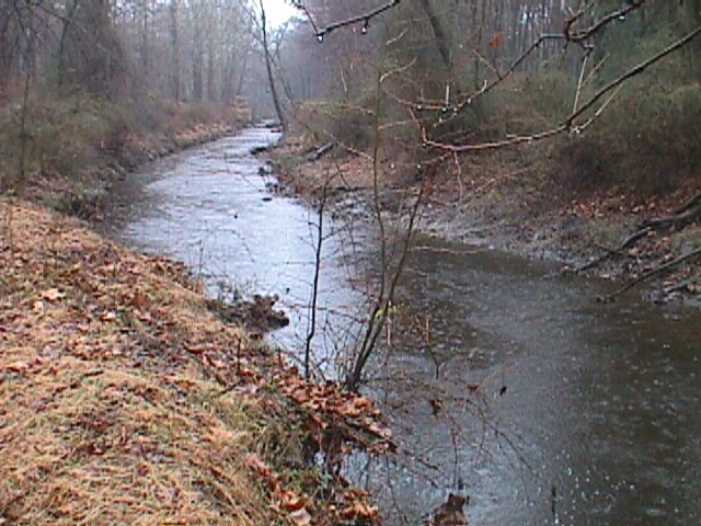 Field photo showing stream conditions at site ABPG-302-R-2000-10_03