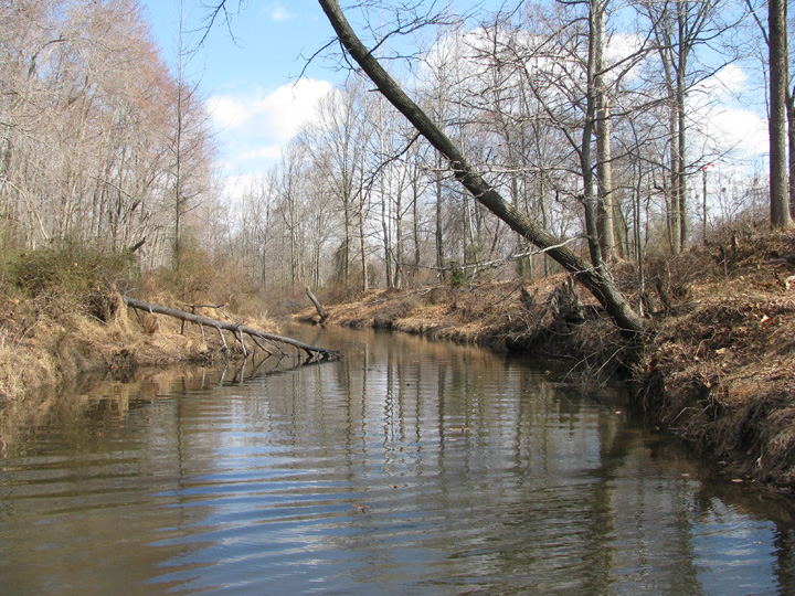 Field photo showing stream conditions at site ABPG-314-R-2009-2