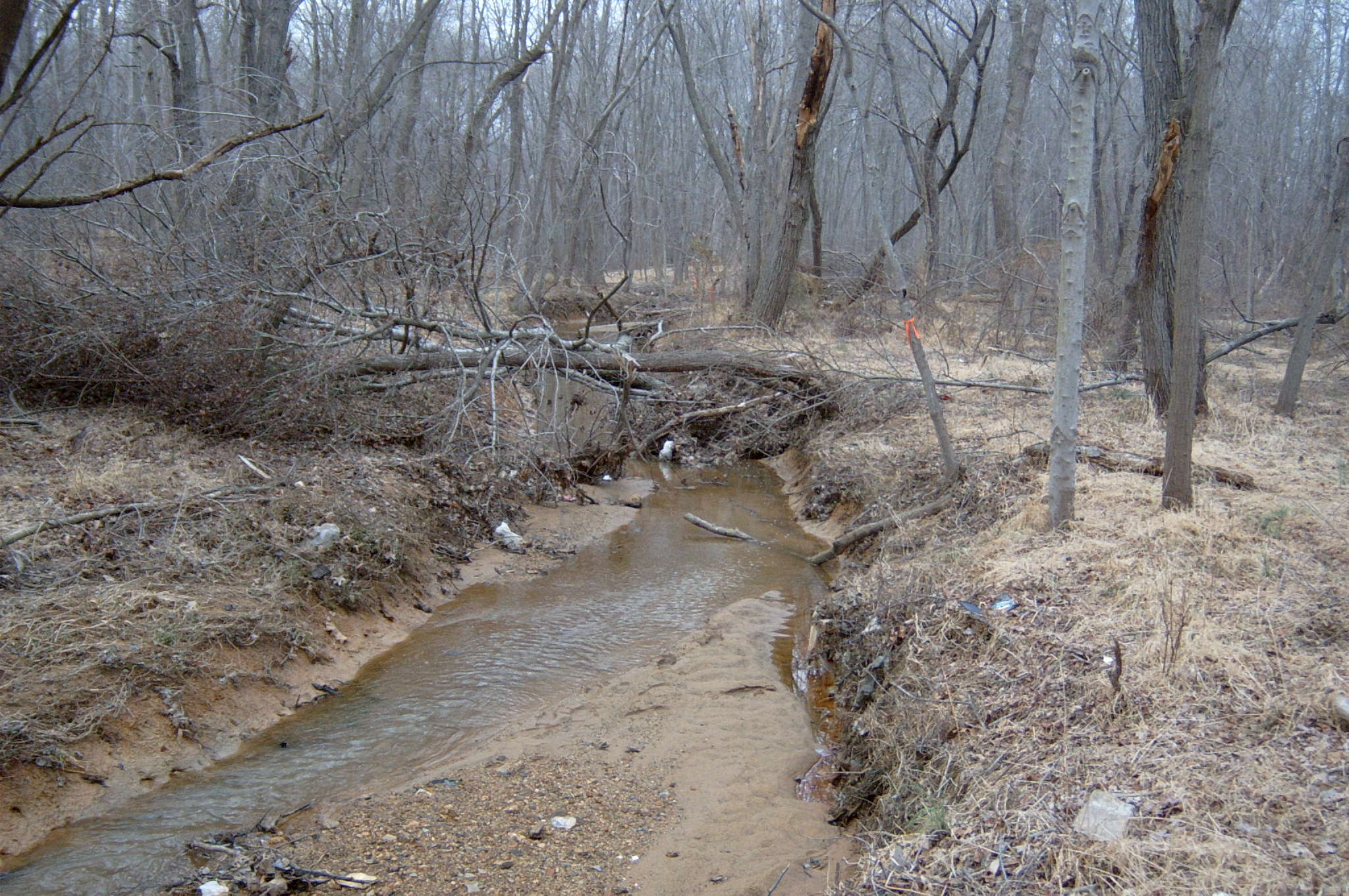 Field photo showing stream conditions at site ANAC-102-R-2004-41
