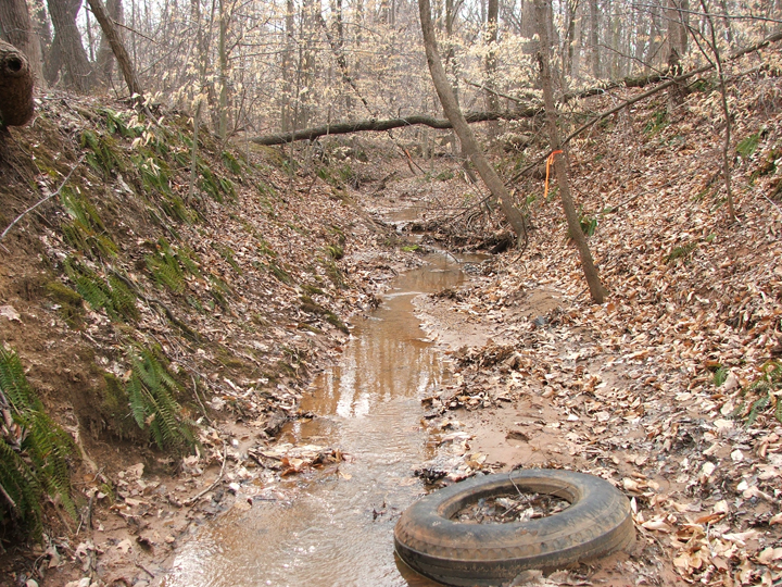 Field photo showing stream conditions at site ANAC-103-R-2008-1