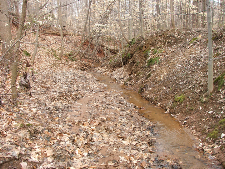 Field photo showing stream conditions at site ANAC-103-R-2008-2