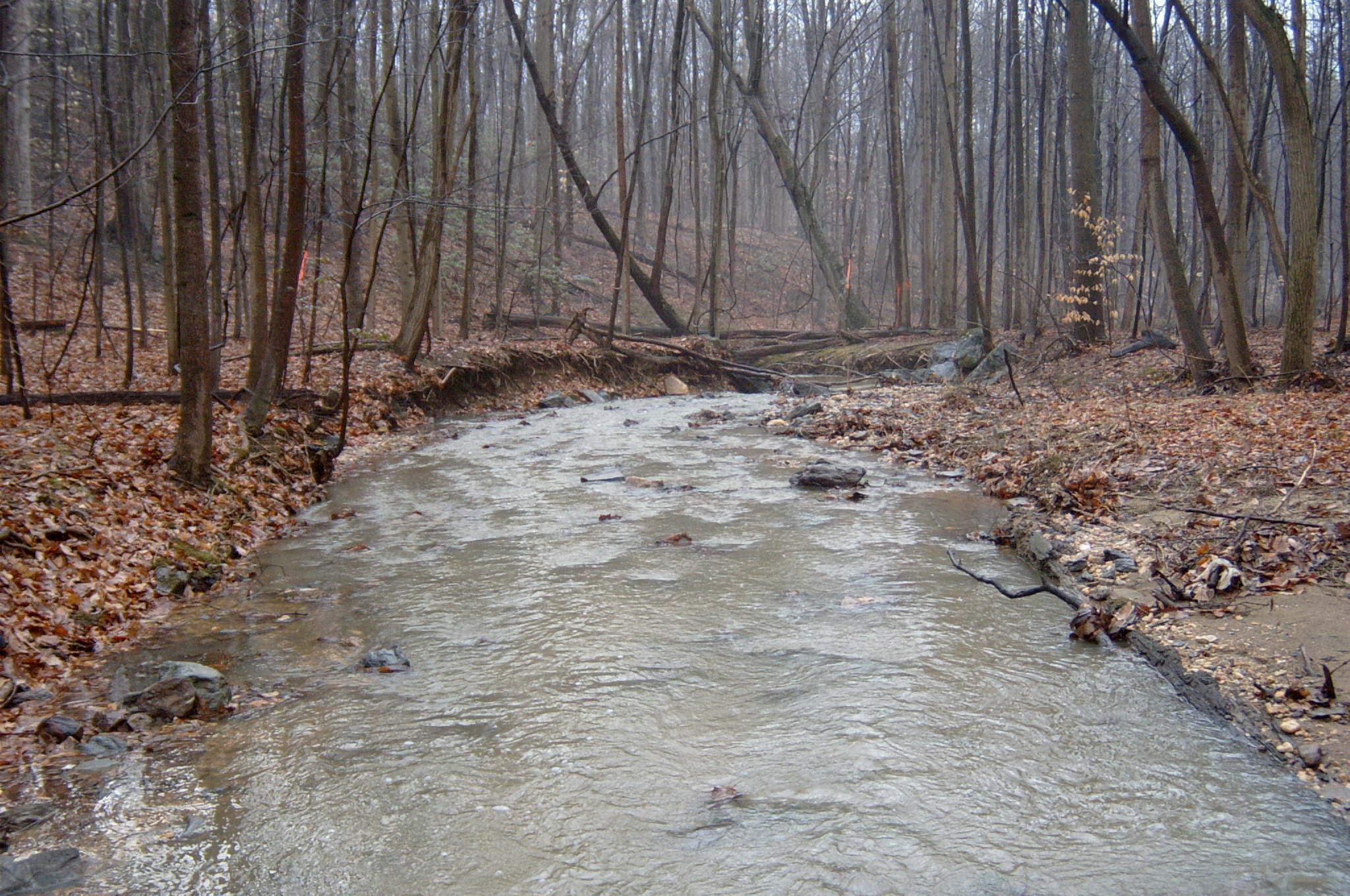 Field photo showing stream conditions at site ANAC-110-R-2004-2