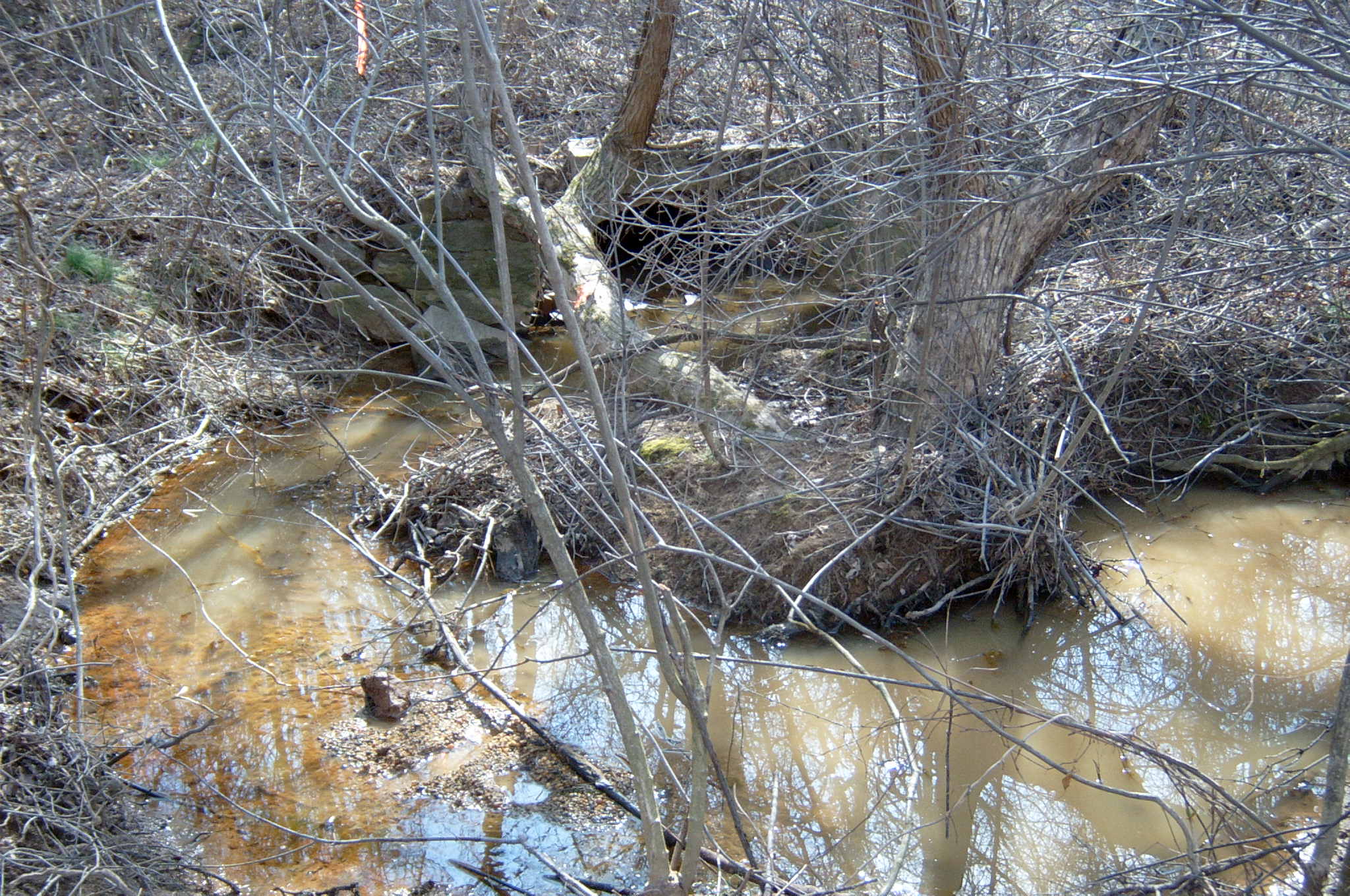 Field photo showing stream conditions at site ANAC-114-R-2004-19