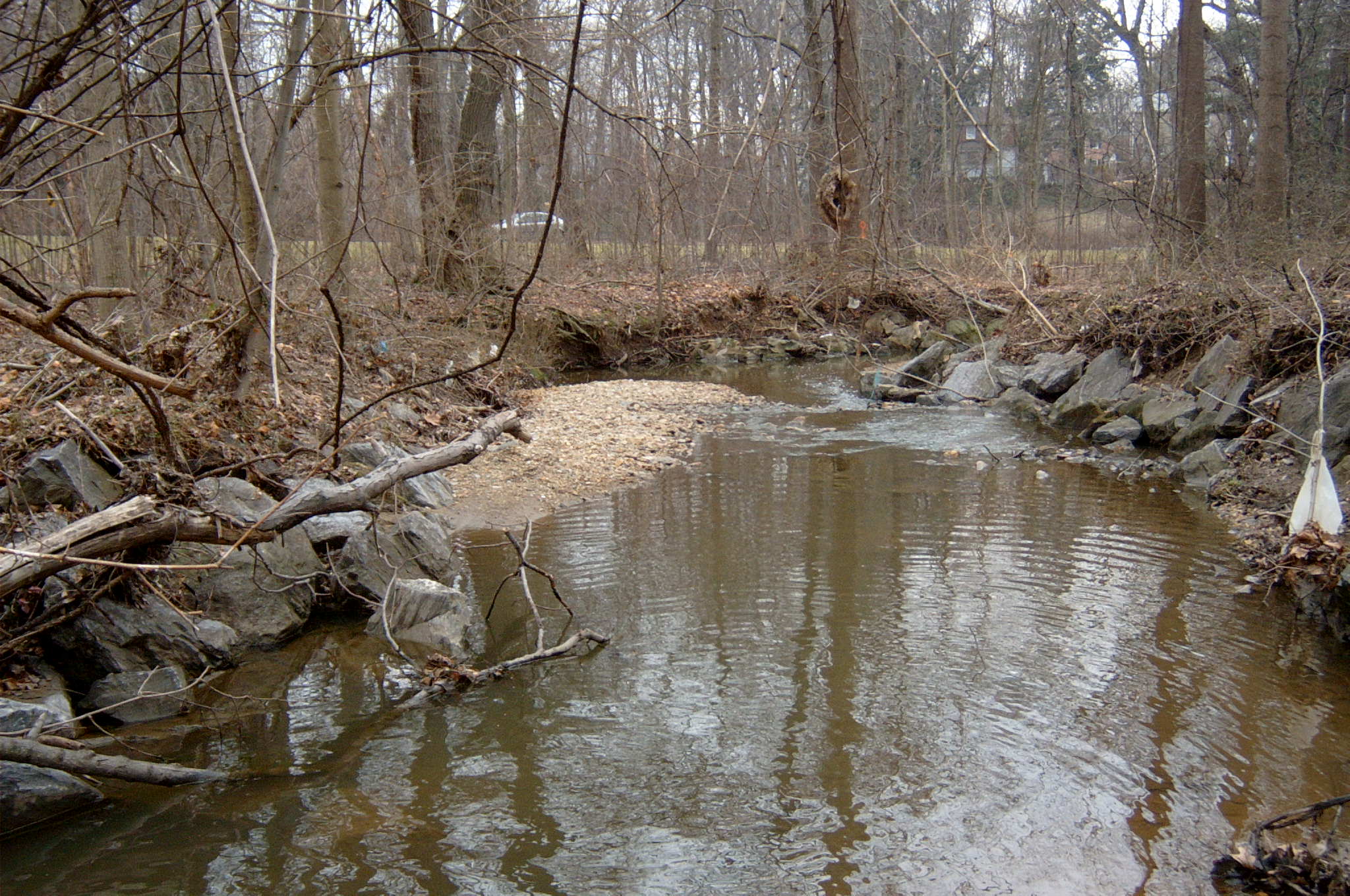 Field photo showing stream conditions at site ANAC-116-R-2004-36