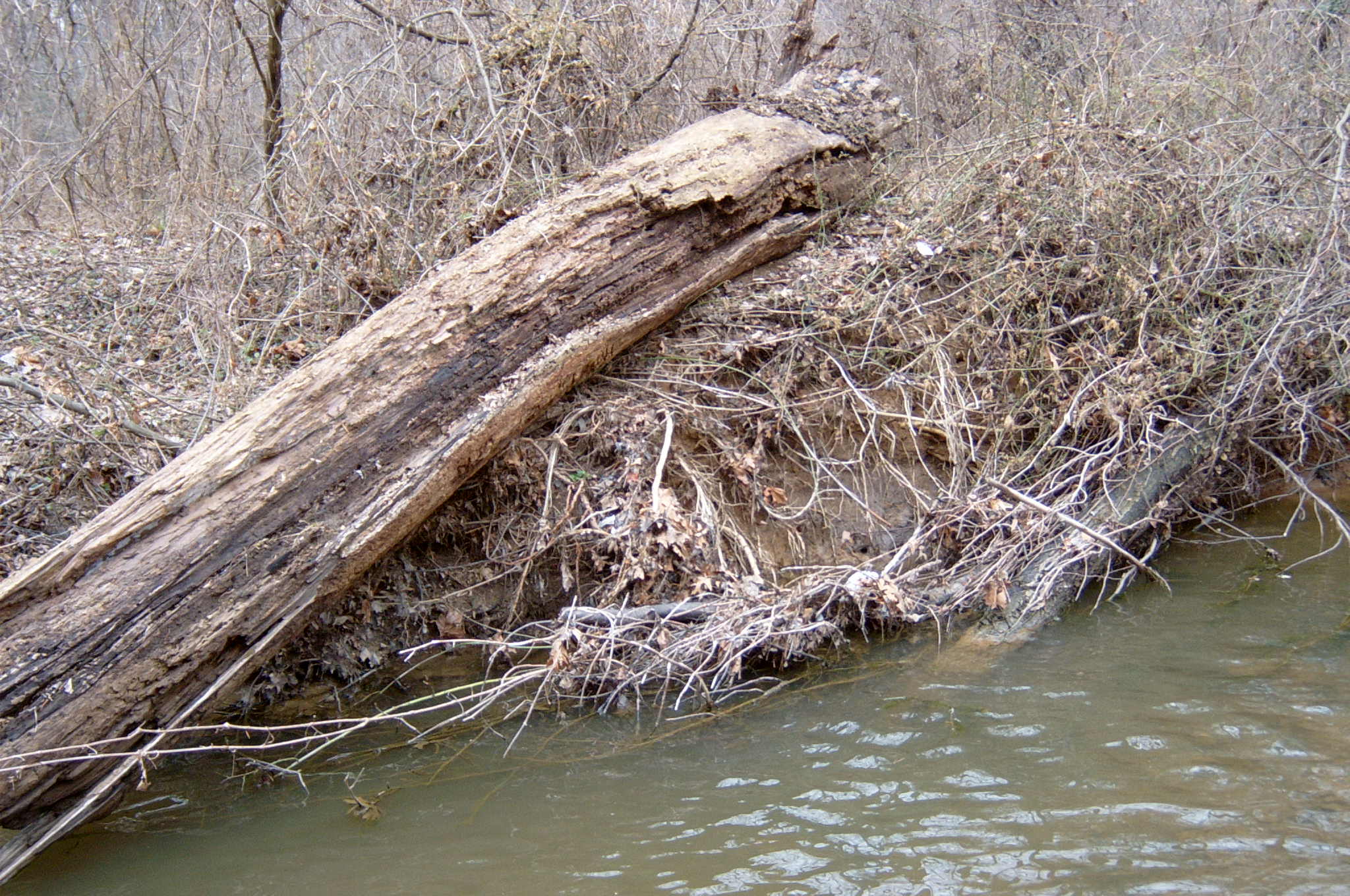 Field photo showing stream conditions at site ANAC-116-R-2004-37