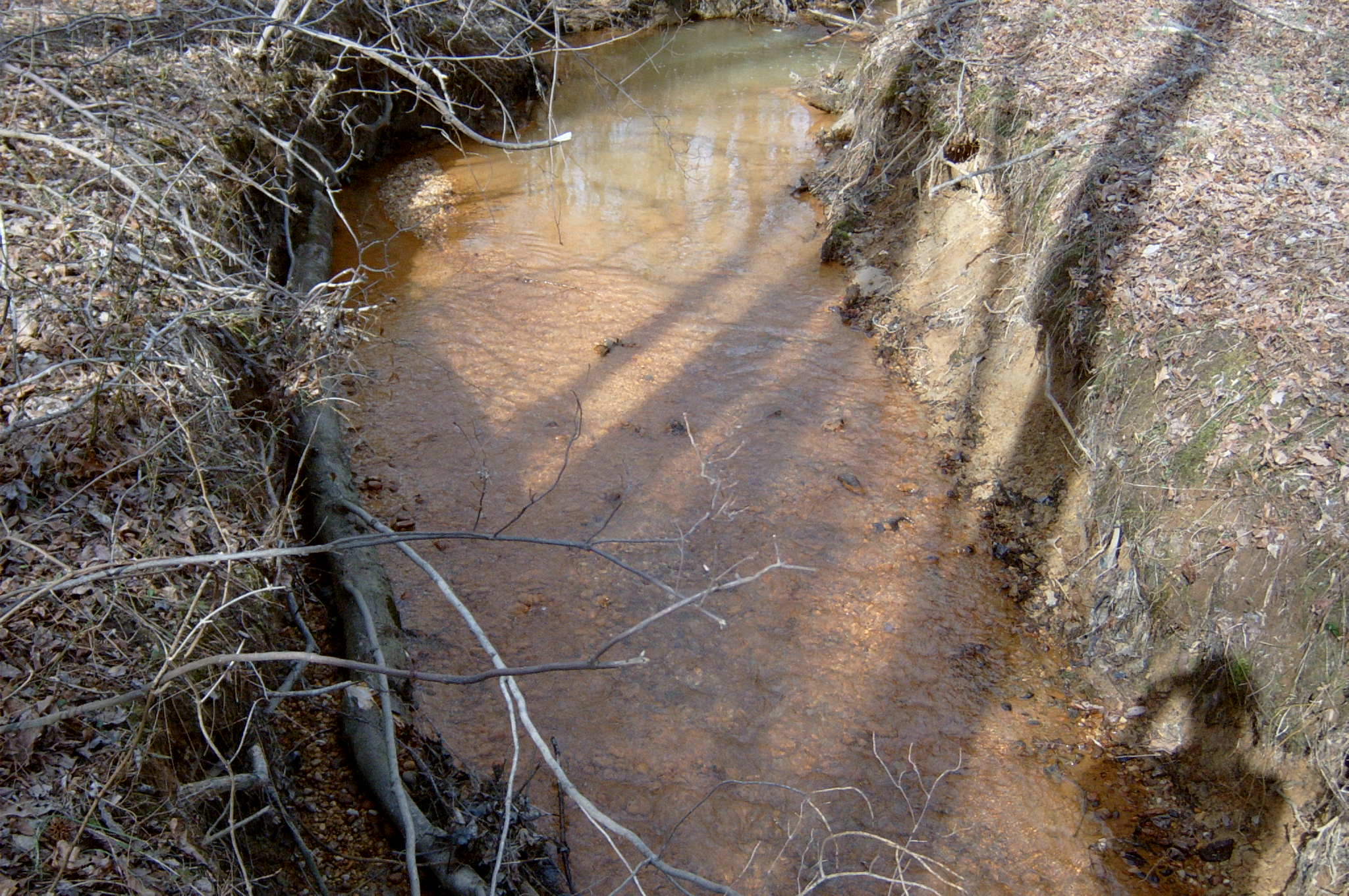 Field photo showing stream conditions at site ANAC-117-R-2004-22