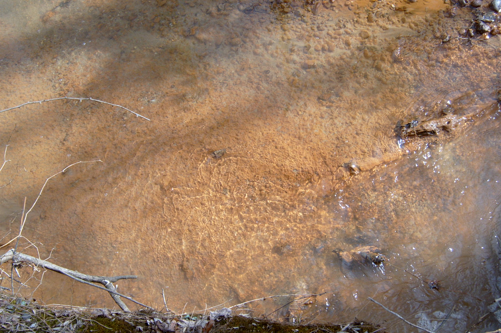 Field photo showing stream conditions at site ANAC-117-R-2004-23