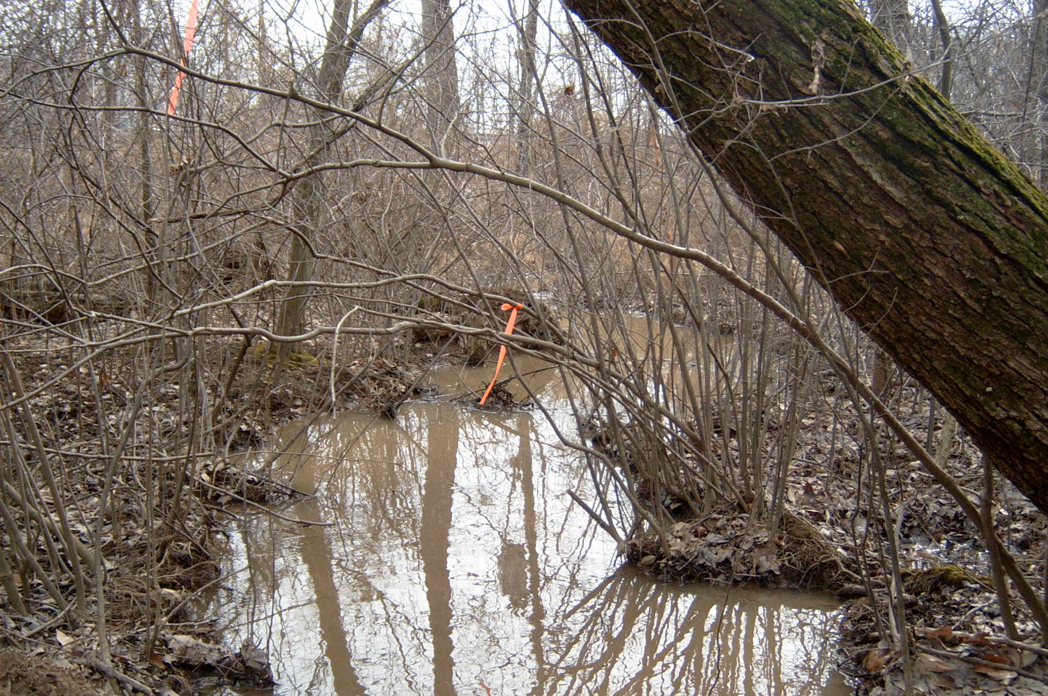 Field photo showing stream conditions at site ANAC-118-R-2004-38