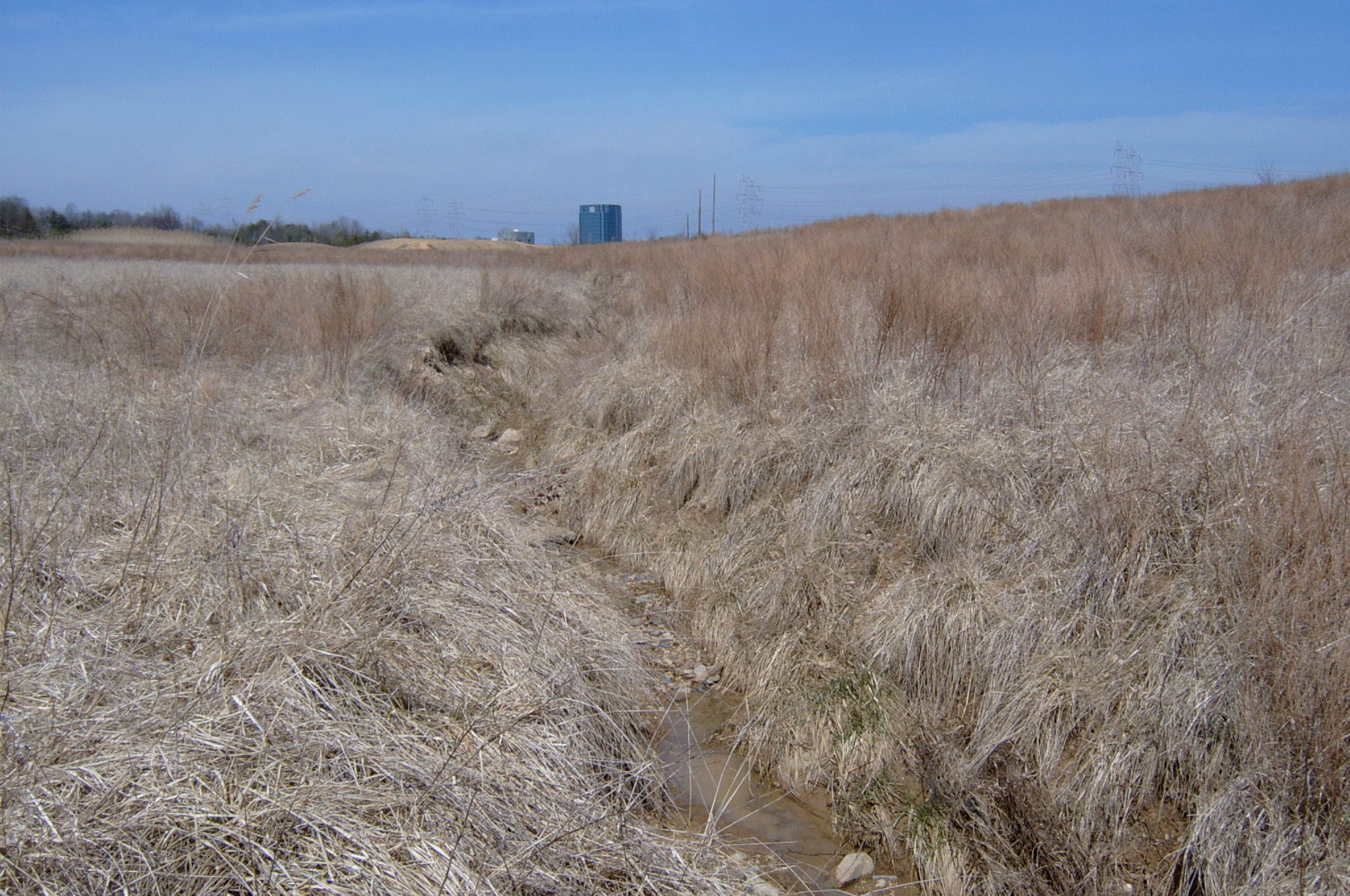 Field photo showing stream conditions at site ANAC-122-R-2004-20
