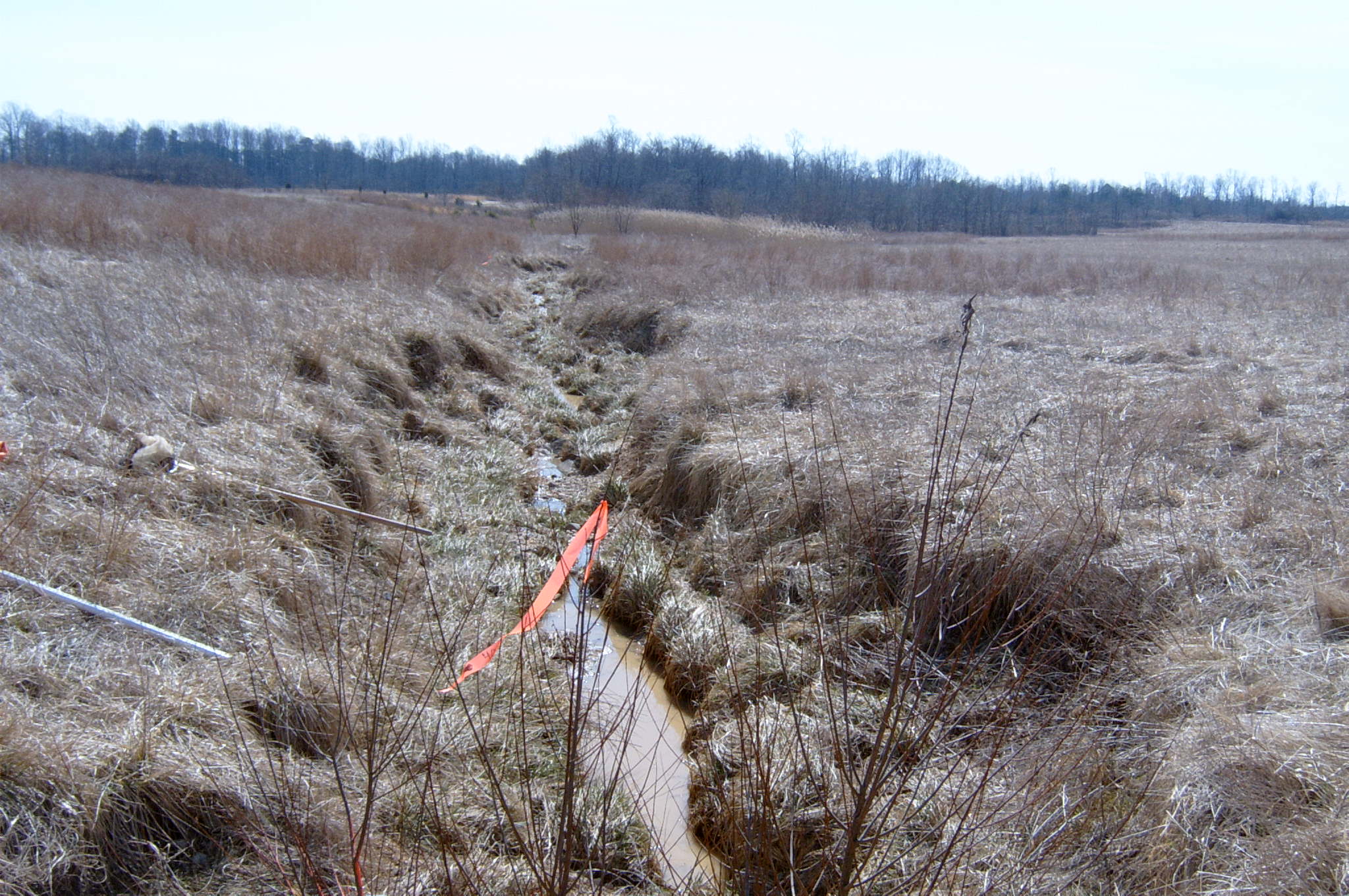 Field photo showing stream conditions at site ANAC-122-R-2004-21