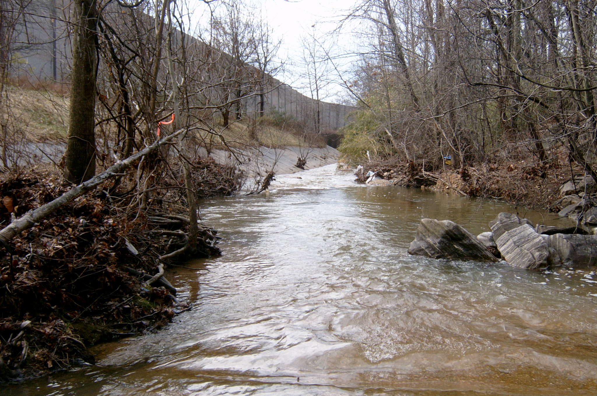 Field photo showing stream conditions at site ANAC-203-R-2004-3