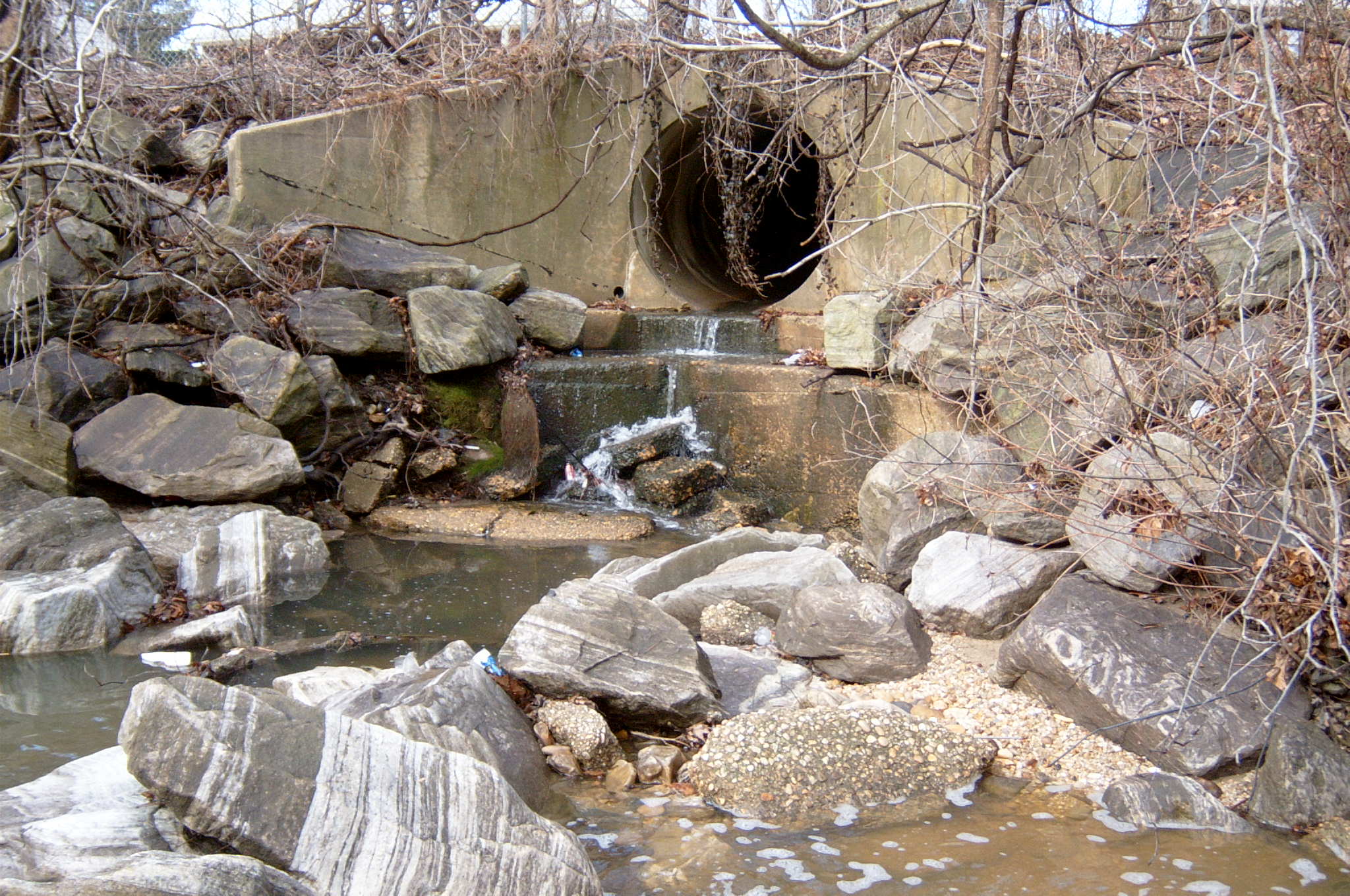 Field photo showing stream conditions at site ANAC-203-R-2004-4