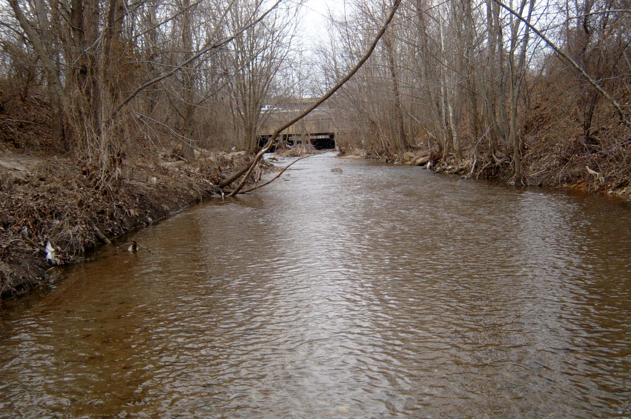 Field photo showing stream conditions at site ANAC-208-R-2004-24