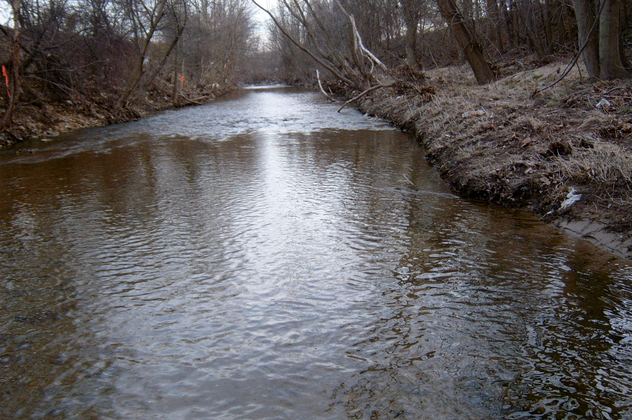 Field photo showing stream conditions at site ANAC-208-R-2004-25