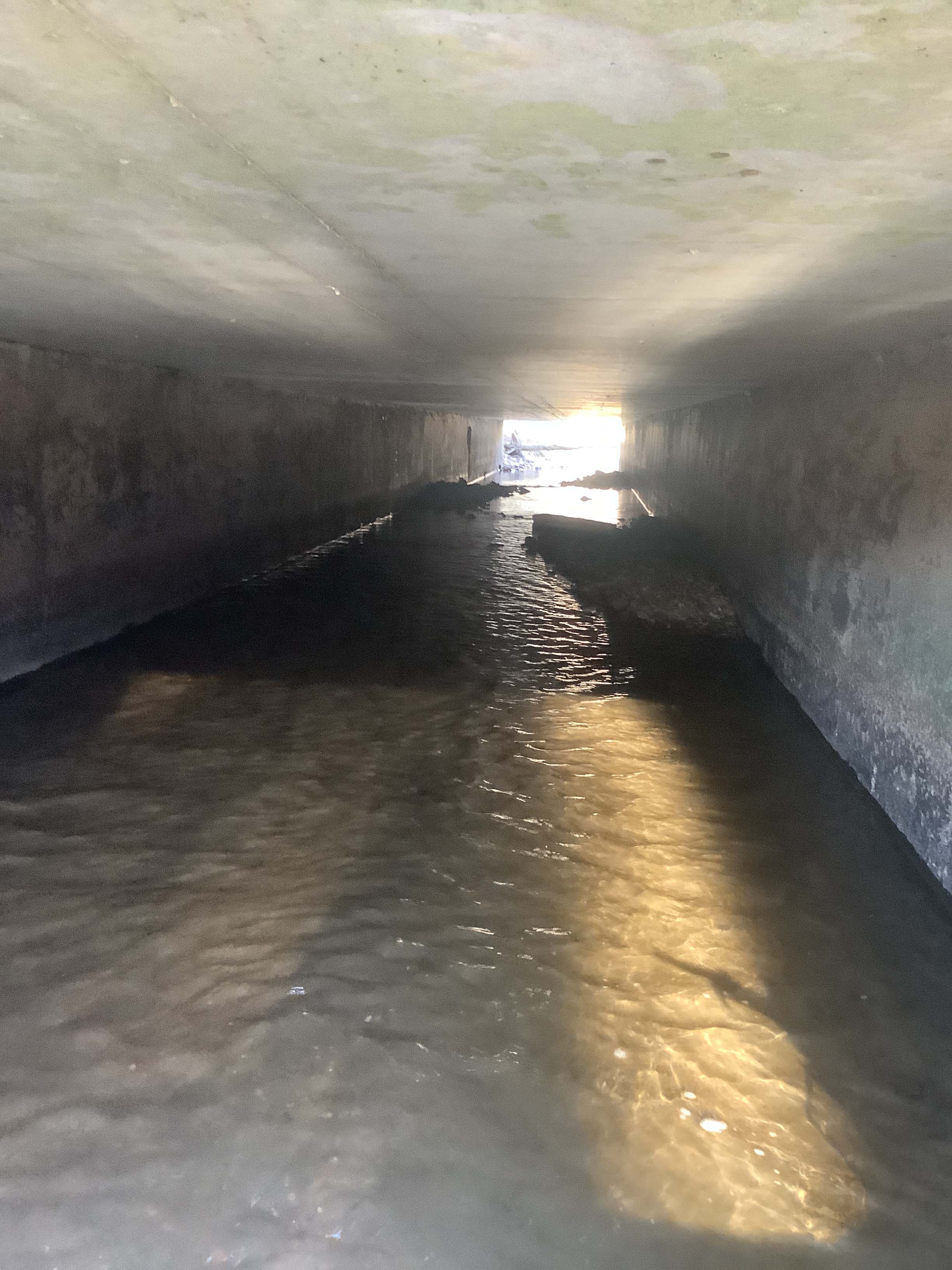 Field photo showing stream conditions at site ANAC-221-R-2023_Midpoint_facing_downstream_doubles_as_culvert_photo