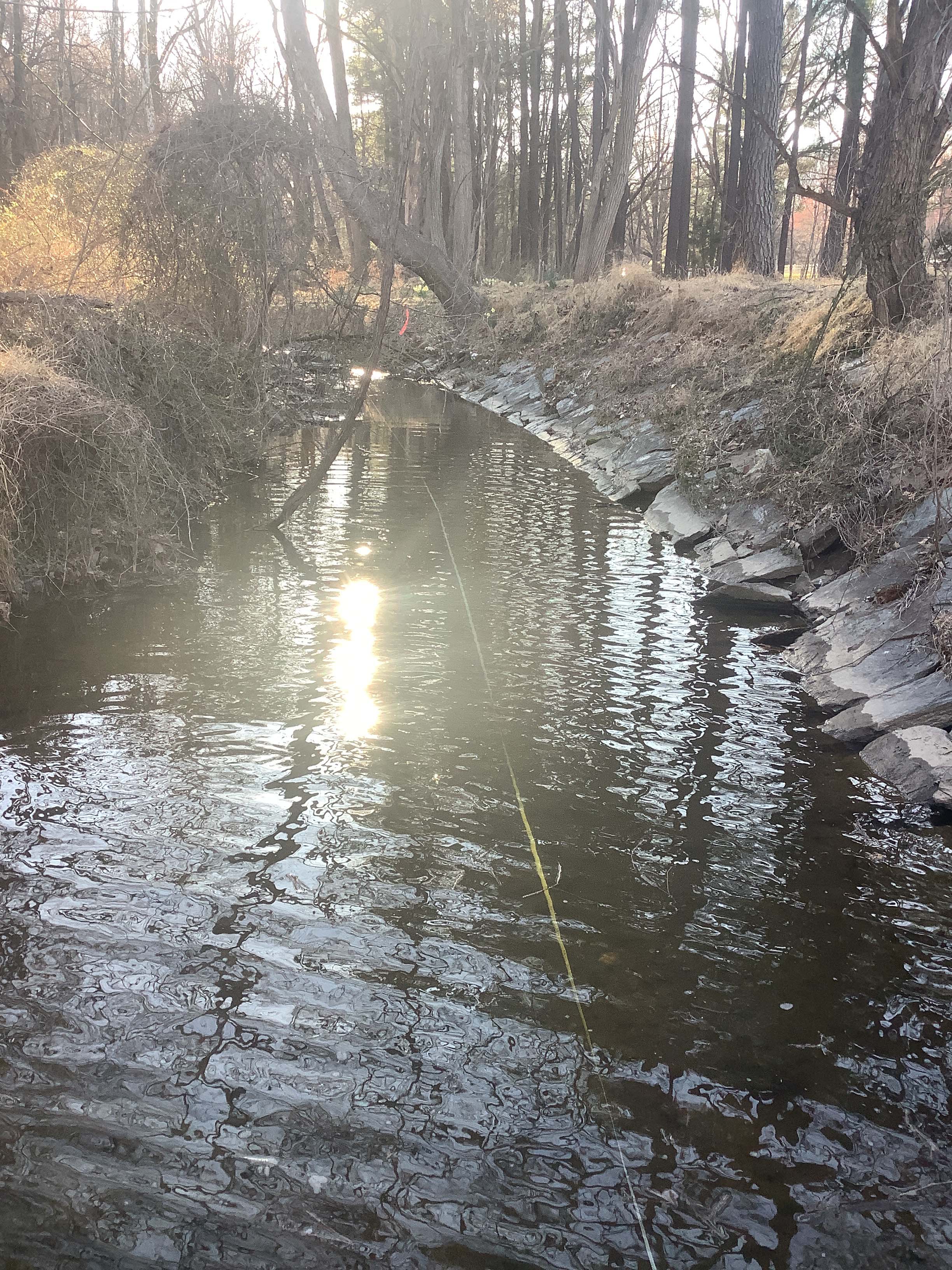 Field photo showing stream conditions at site ANAC-221-R-2023_Midpoint_facing_upstream_