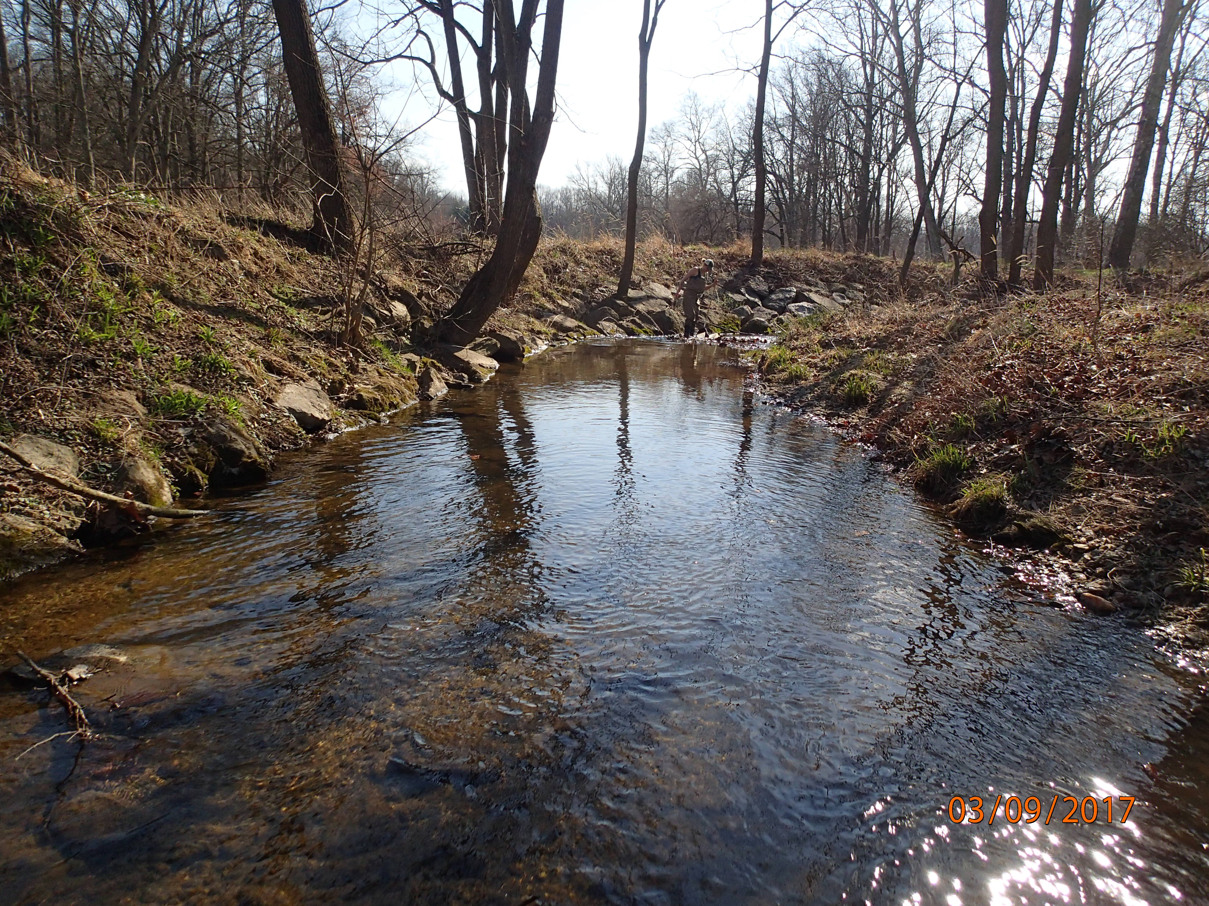 Field photo showing stream conditions at site ANAC-223-R-2017-MidpointDownstream