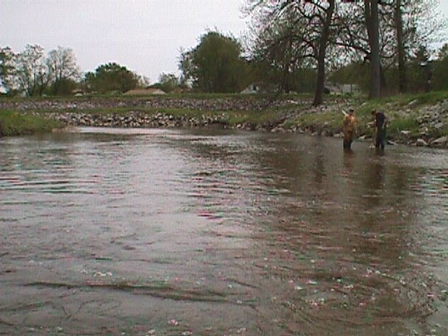 Field photo showing stream conditions at site ANAC-302-X-2000-15_15
