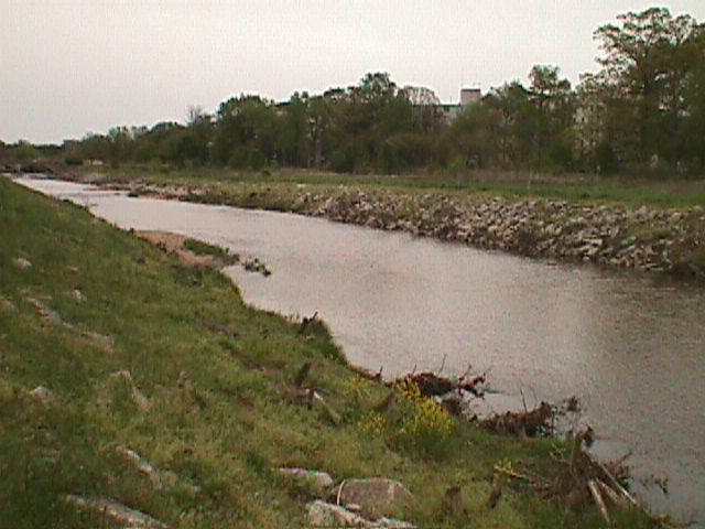 Field photo showing stream conditions at site ANAC-303-X-2000-15_16