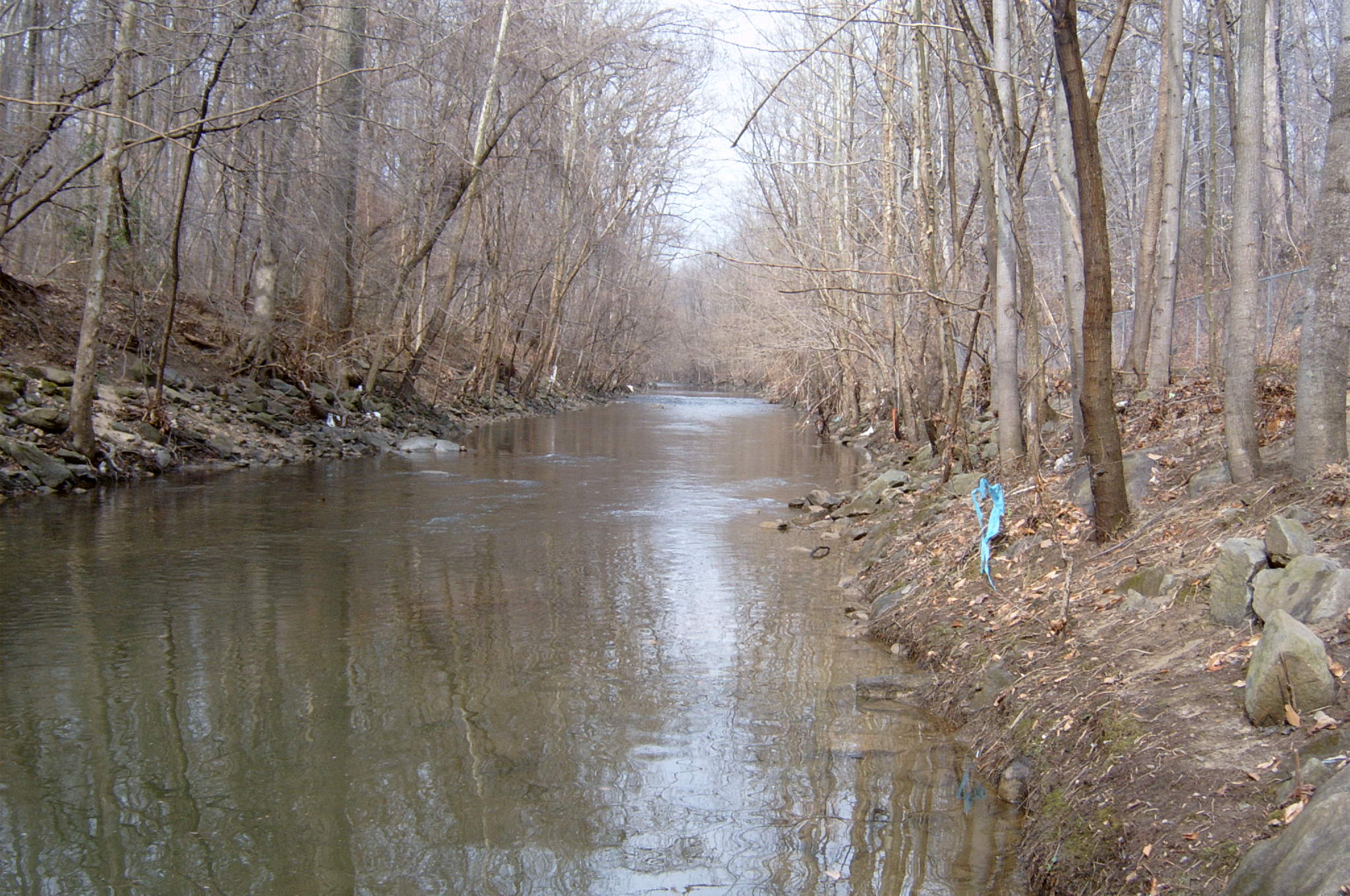 Field photo showing stream conditions at site ANAC-304-R-2004-32