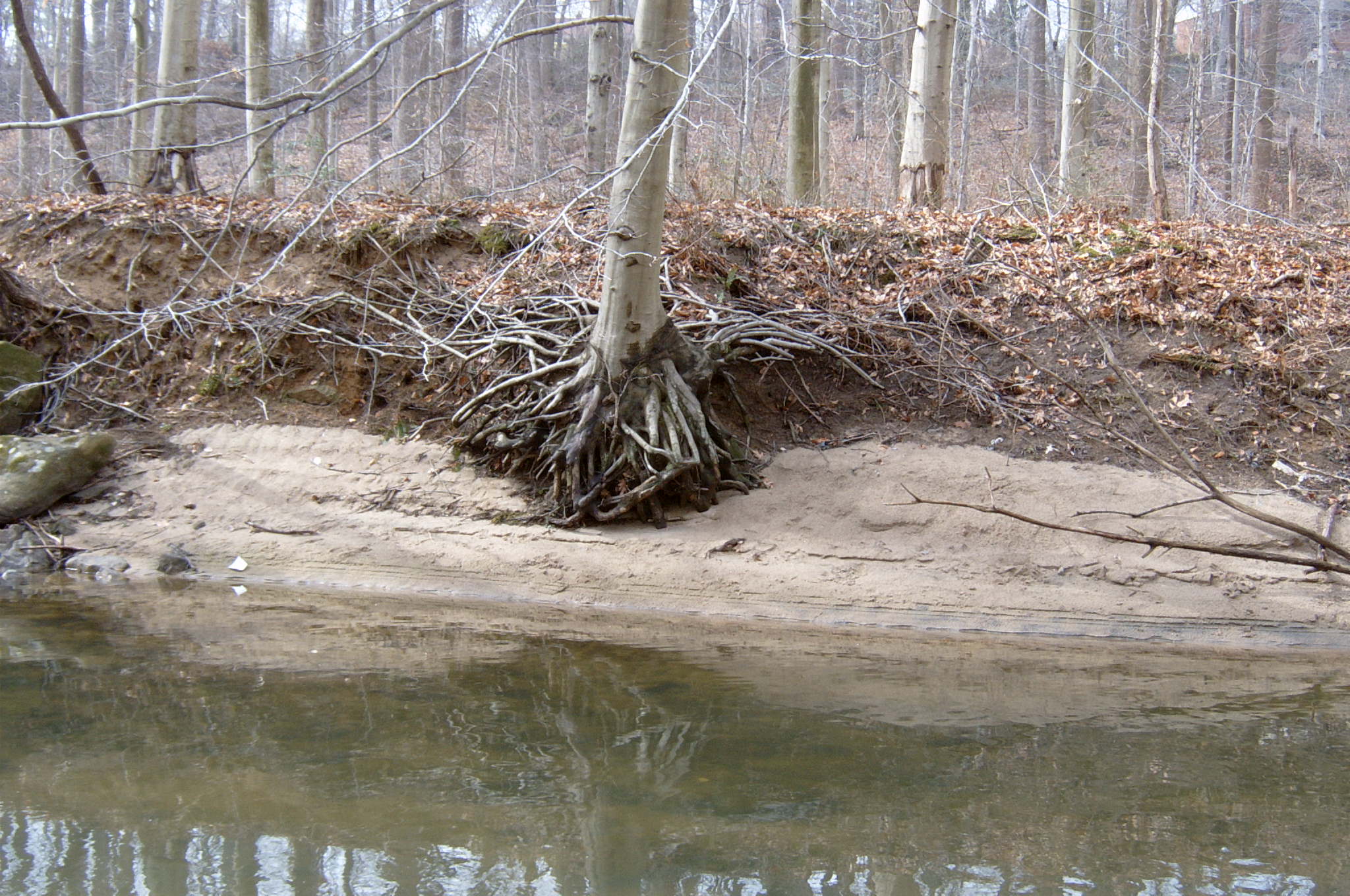 Field photo showing stream conditions at site ANAC-304-R-2004-33