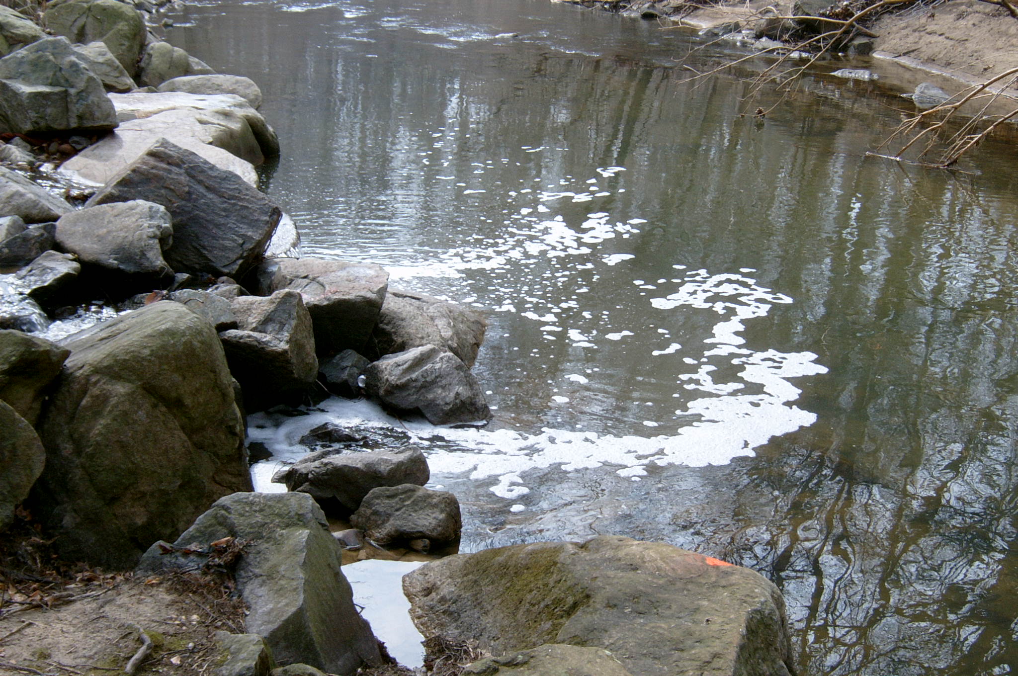 Field photo showing stream conditions at site ANAC-304-R-2004-34