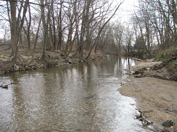 Field photo showing stream conditions at site ANAC-304-R-2008-1