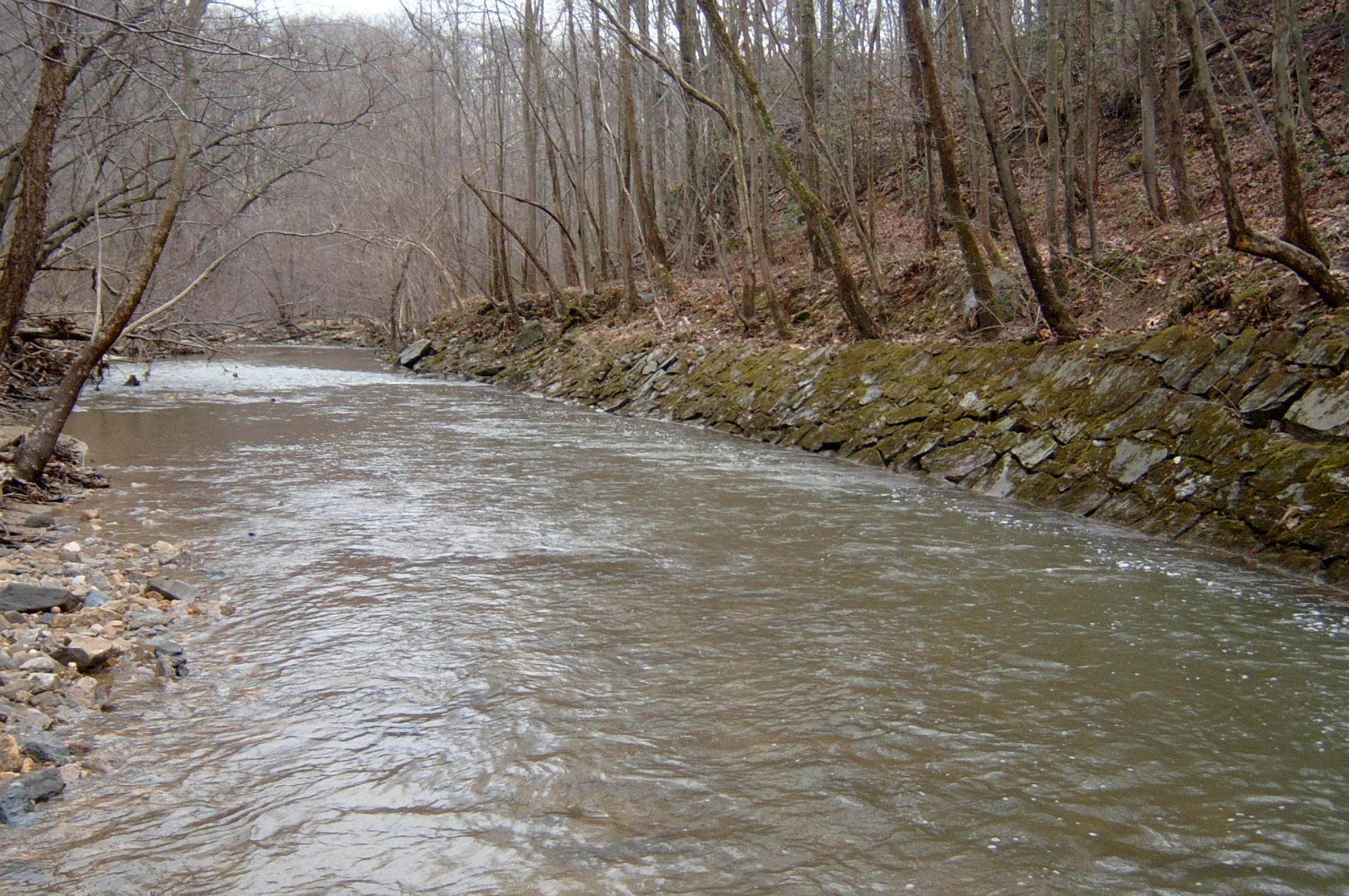 Field photo showing stream conditions at site ANAC-311-R-2004-5