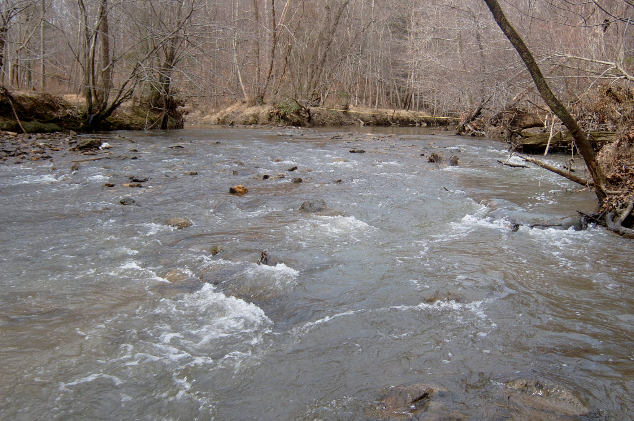 Field photo showing stream conditions at site ANAC-311-R-2004-6