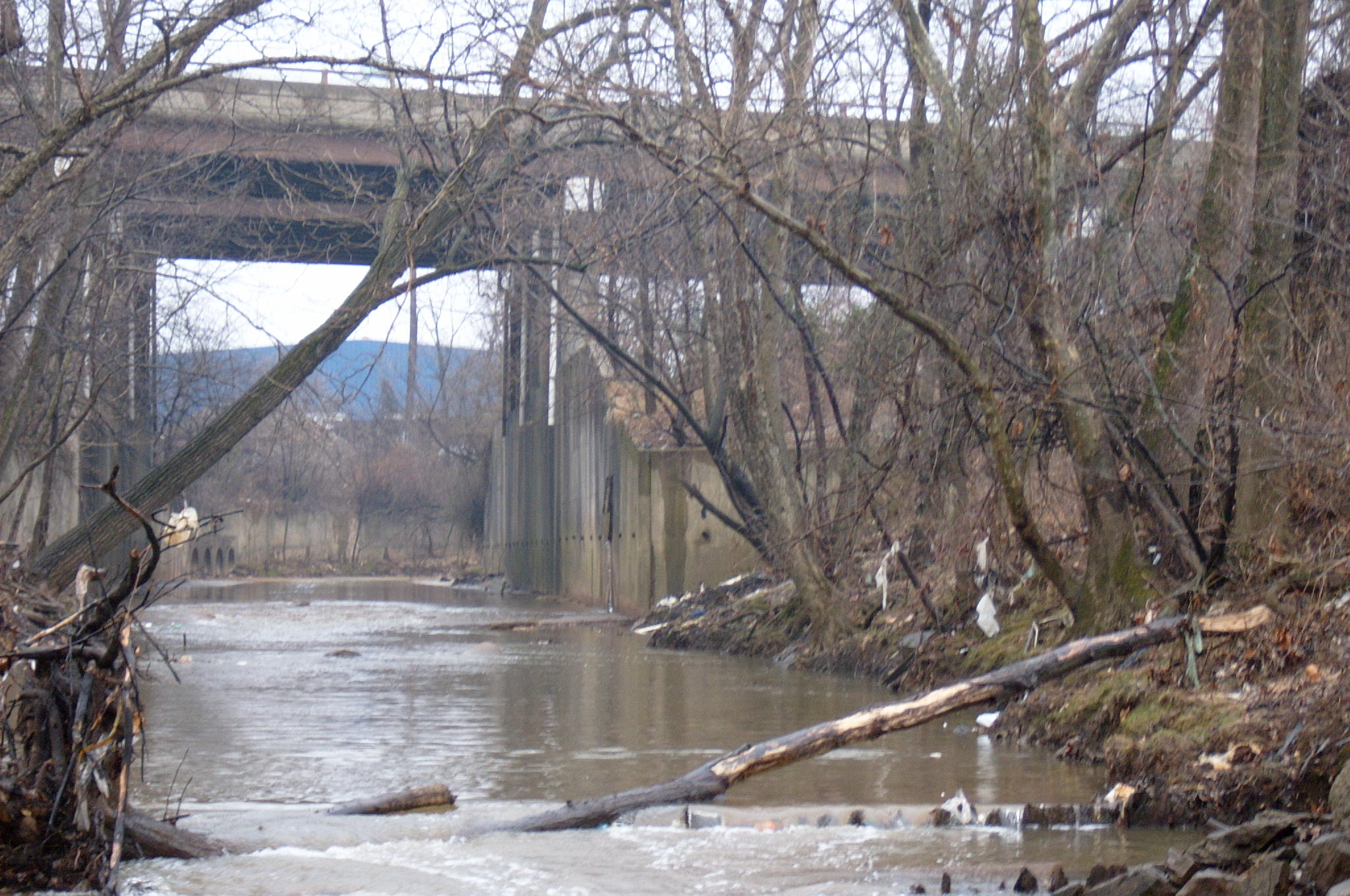 Field photo showing stream conditions at site ANAC-326-R-2004-29