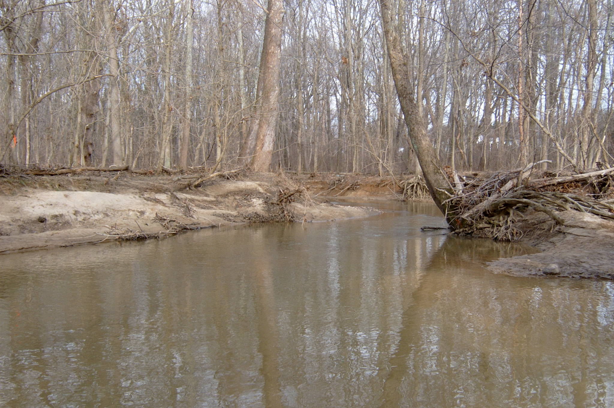 Field photo showing stream conditions at site ANAC-327-R-2004-16