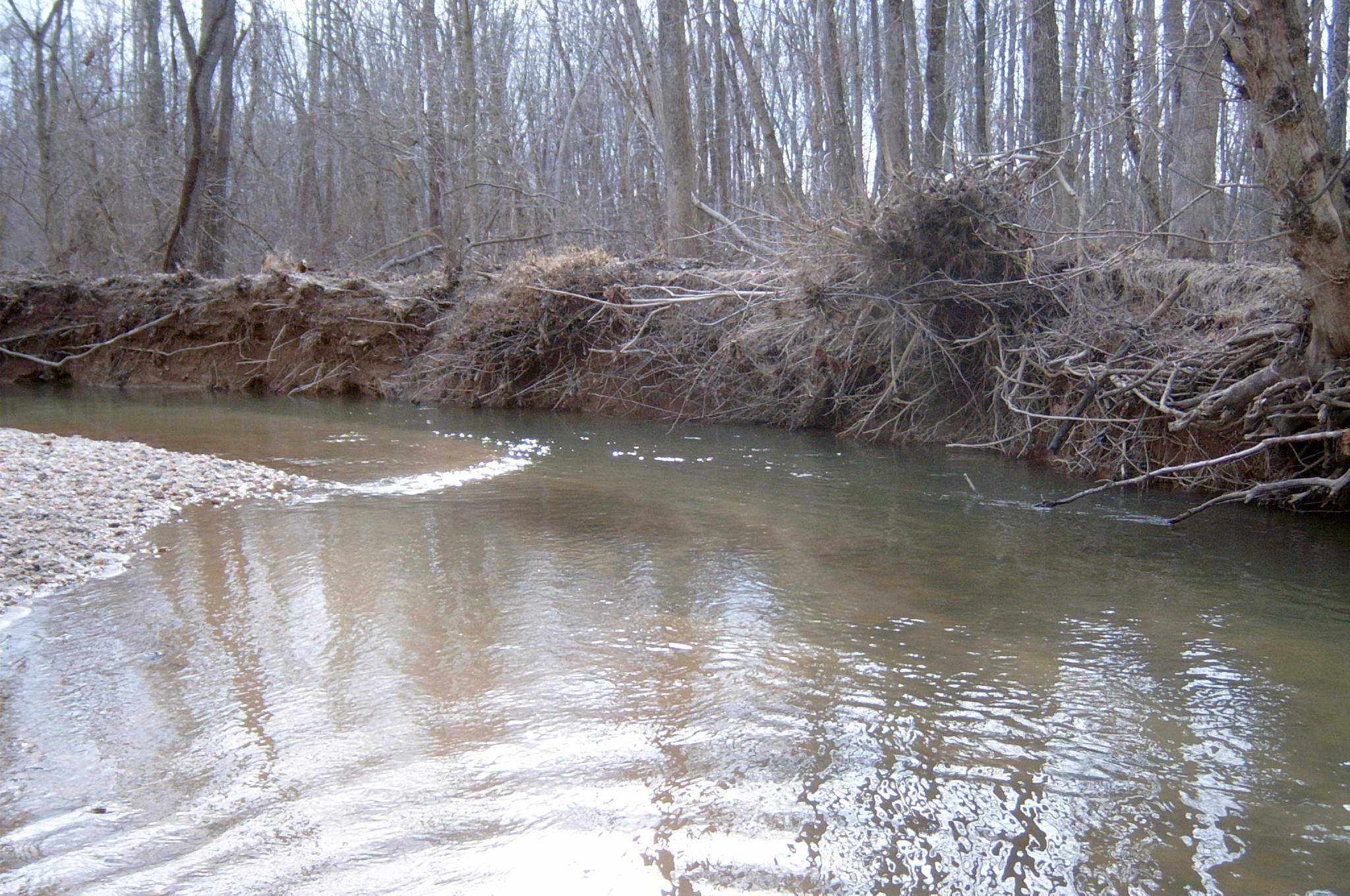 Field photo showing stream conditions at site ANAC-327-R-2004-17