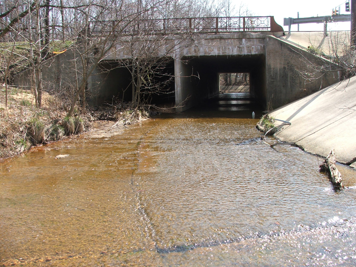 Field photo showing stream conditions at site ANAC-401-R-2008-1