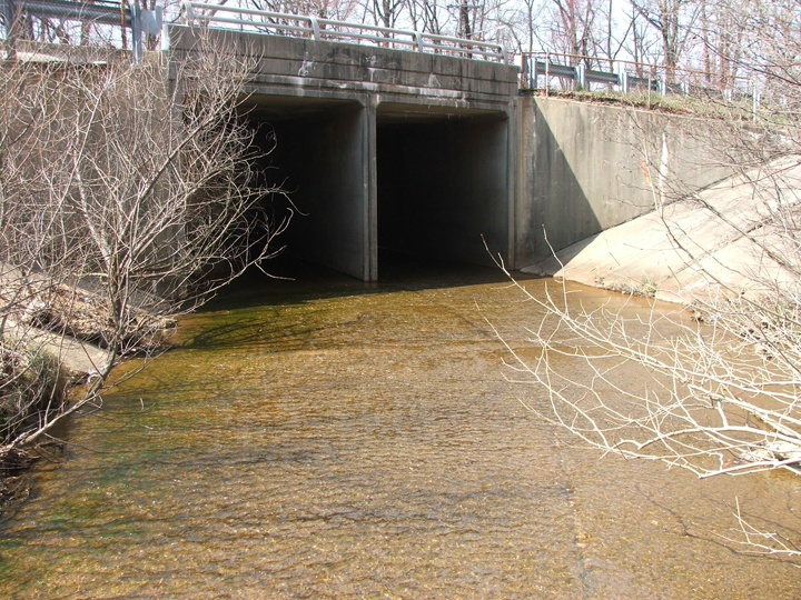Field photo showing stream conditions at site ANAC-401-R-2008-2