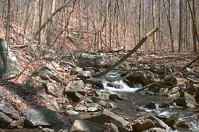 Field photo showing stream conditions at site ANTI-101-C-2000-3