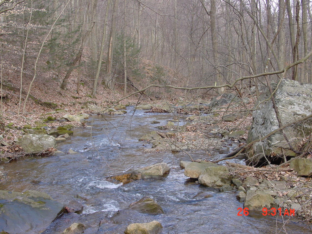 Field photo showing stream conditions at site ANTI-101-C-2001-2