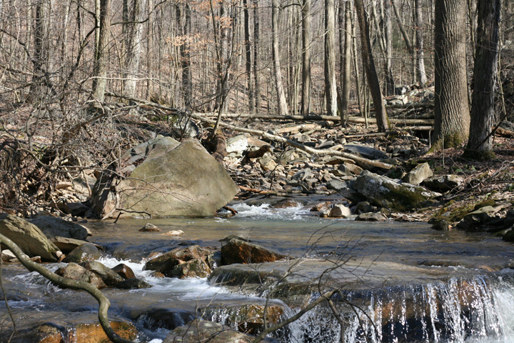 Field photo showing stream conditions at site ANTI-101-S-2010-1
