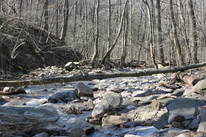 Field photo showing stream conditions at site ANTI-101-S-2010-2