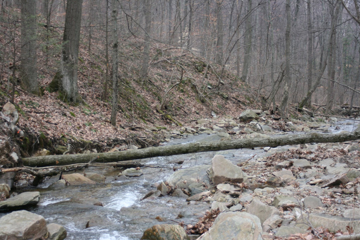 Field photo showing stream conditions at site ANTI-101-S-2011-2