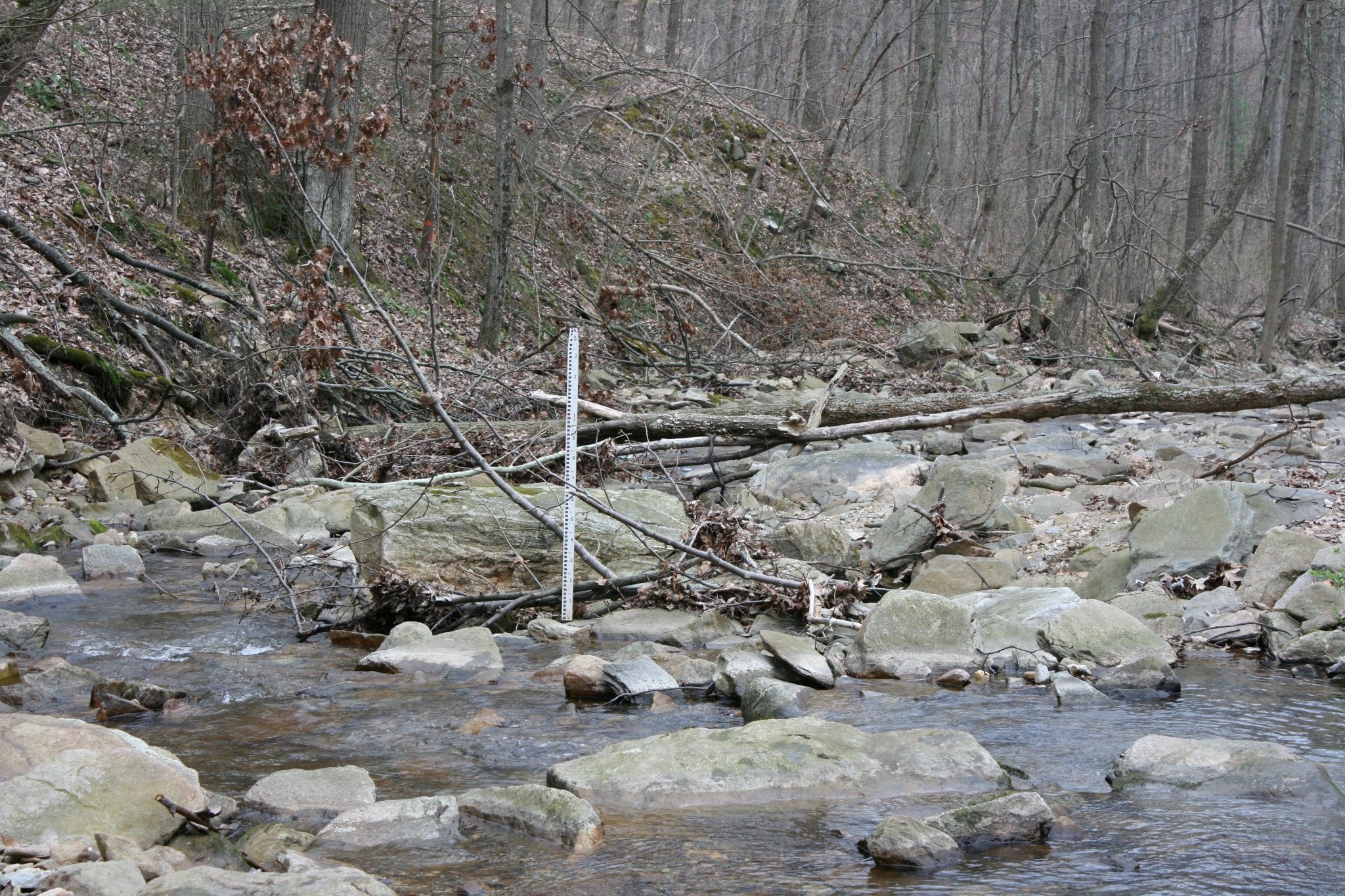 Field photo showing stream conditions at site ANTI-101-S-2012-MidpointPdownstream