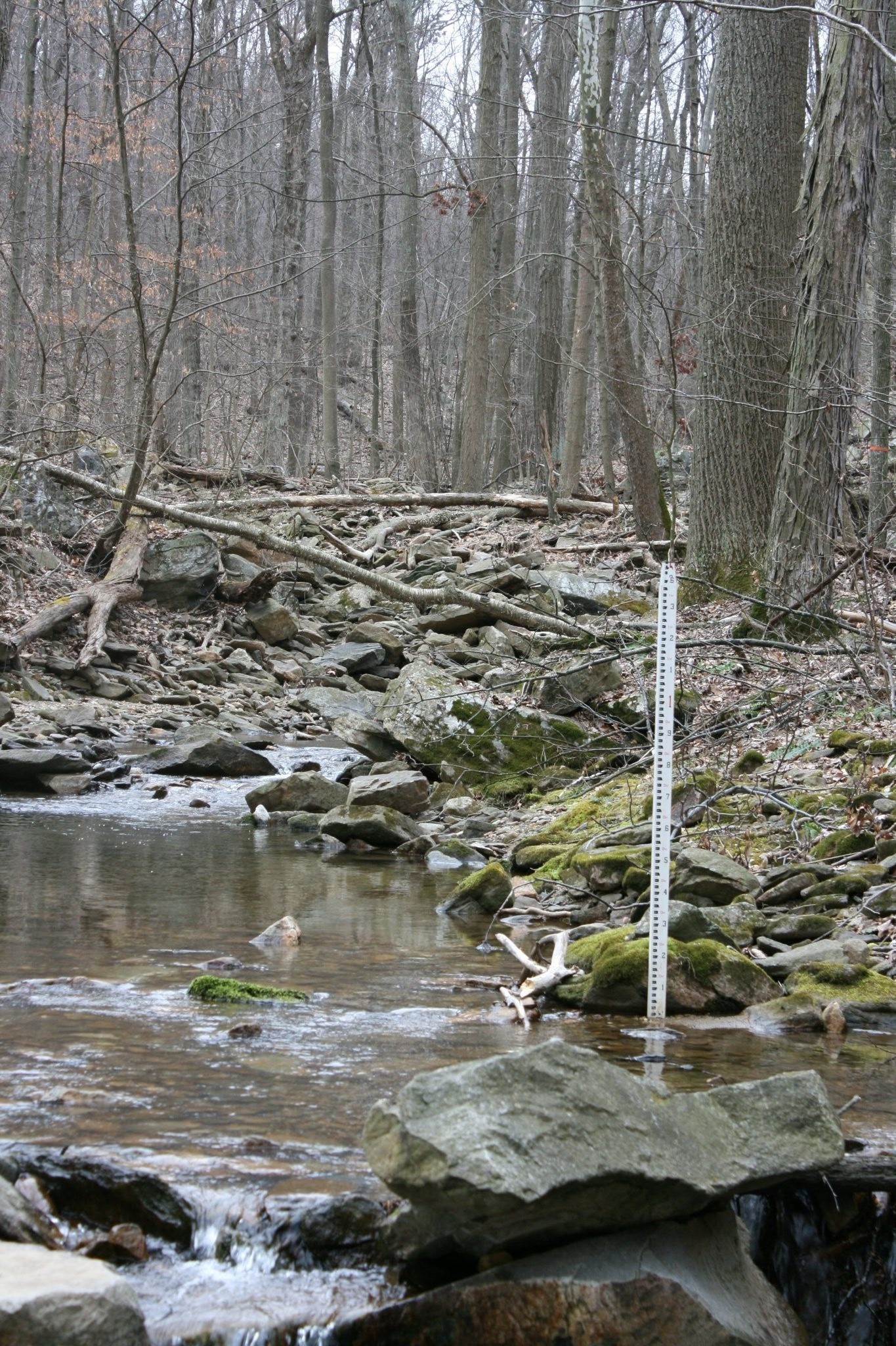 Field photo showing stream conditions at site ANTI-101-S-2012-MidpointPunstream