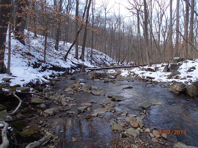 Field photo showing stream conditions at site ANTI-101-S-2013-MidpointPdownstream